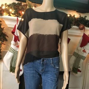 Sheer brown top